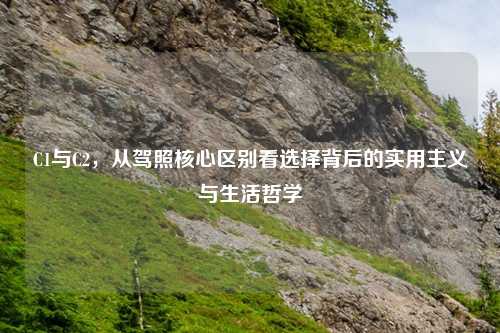 C1与C2,从驾照核心区别看选择背后的实用主义与生活哲学