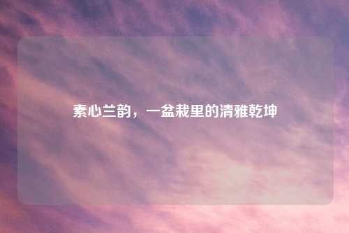 素心兰韵,一盆栽里的清雅乾坤