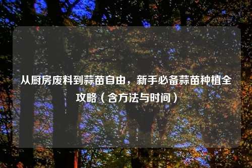 从厨房废料到蒜苗自由，新手必备蒜苗种植全攻略（含     与时间）