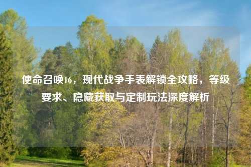 使命召唤16，现代战争手表解锁全攻略，等级要求、隐藏获取与定制玩法深度解析