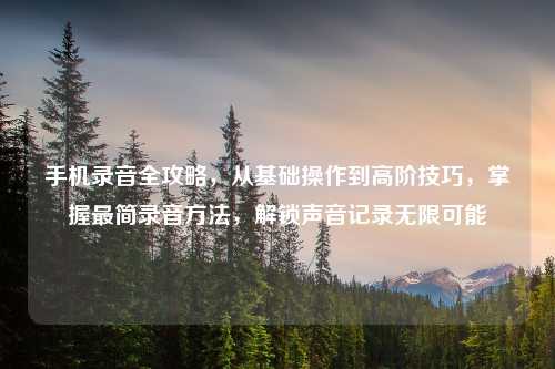 手机录音全攻略,从基础操作到高阶技巧,掌握最简录音 ,解锁声音记录无限可能