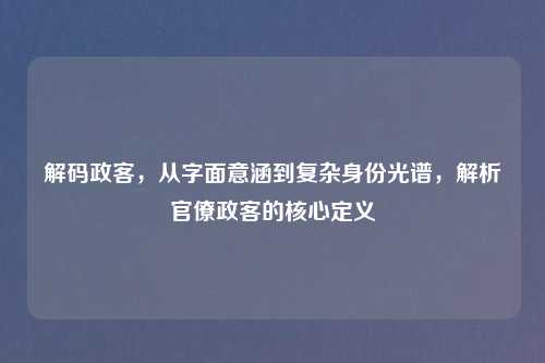 解码政客,从字面意涵到复杂身份光谱,解析官僚政客的核心定义