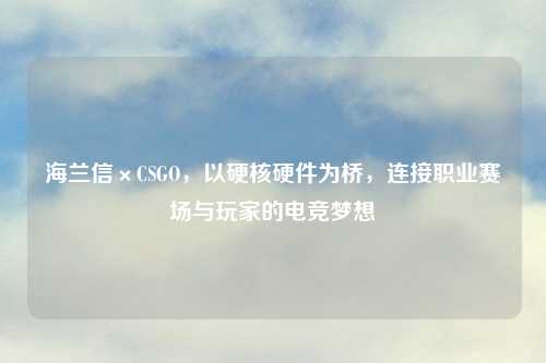 海兰信×CSGO，以硬核硬件为桥，连接职业赛场与玩家的电竞梦想