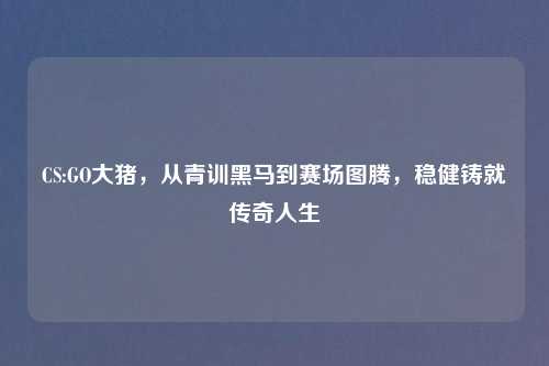 CS:GO大猪，从青训黑马到赛场图腾，稳健铸就传奇人生