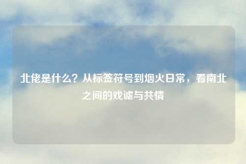 北佬是什么？从标签符号到烟火日常，看南北之间的戏谑与共情