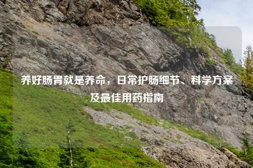 养好肠胃就是养命,日常护肠细节、科学方案及更佳用药指南