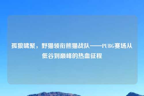 孤狼啸聚,野猫领衔熊猫战队——PUBG赛场从低谷到巅峰的热血征程