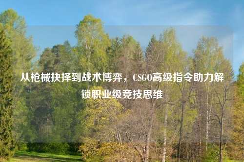 从枪械抉择到战术博弈,CSGO高级指令助力解锁职业级竞技思维