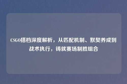 CSGO搭档深度解析，从匹配机制、默契养成到战术执行，铸就赛场制胜组合