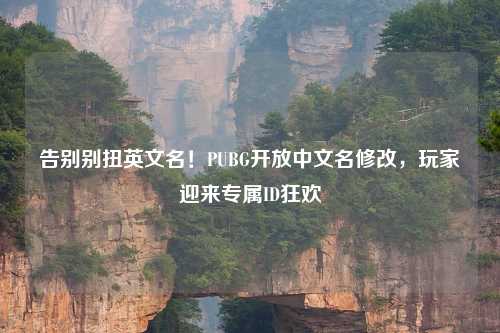 告别别扭英文名！PUBG开放中文名修改，玩家迎来专属ID狂欢