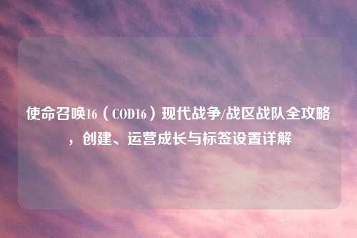 使命召唤16（COD16）现代战争/战区战队全攻略，创建、运营成长与标签设置详解