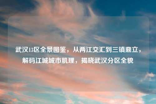 武汉13区全景图鉴，从两江交汇到三镇鼎立，解码江城城市肌理，揭晓武汉分区全貌