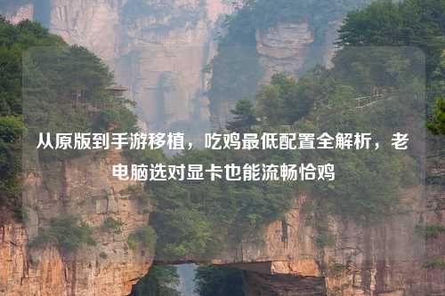 从原版到手游移植,吃鸡更低配置全解析,老电脑选对显卡也能流畅恰鸡