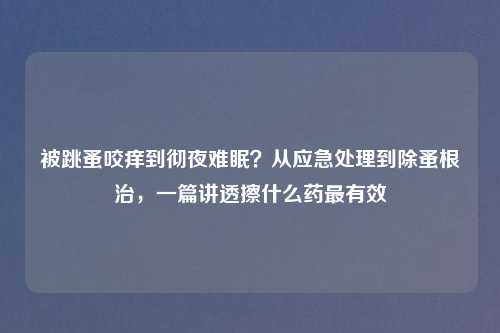 被跳蚤咬痒到彻夜难眠？从应急处理到除蚤根治，一篇讲透擦什么药最有效