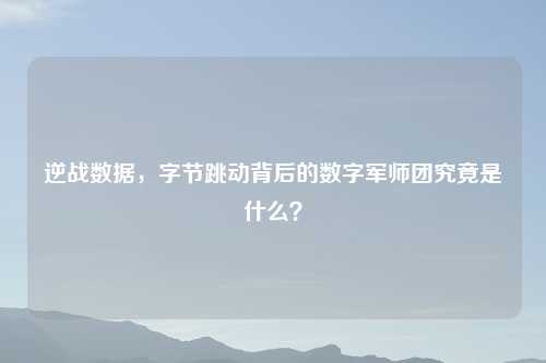 逆战数据，字节跳动背后的数字军师团究竟是什么？