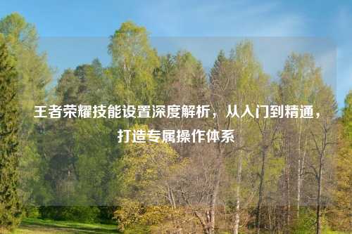 王者荣耀技能设置深度解析，从入门到精通，打造专属操作体系