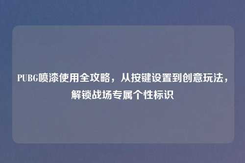 PUBG喷漆使用全攻略，从按键设置到创意玩法，解锁战场专属个性标识
