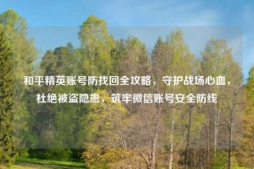 和平精英账号防找回全攻略，守护战场心血，杜绝被盗隐患，筑牢微信账号安全防线