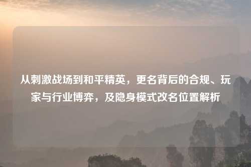 从 战场到和平精英,更名背后的合规、玩家与行业博弈,及隐身模式改名位置解析