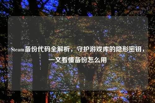 Steam备份代码全解析,守护游戏库的隐形密钥,一文看懂备份怎么用
