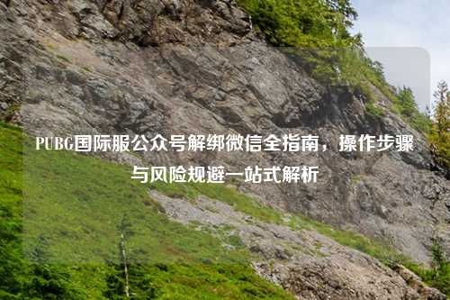 PUBG国际服公众号解绑微信全指南,操作步骤与风险规避一站式解析