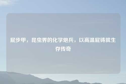 屁步甲，昆虫界的化学炮兵，以高温屁铸就生存传奇