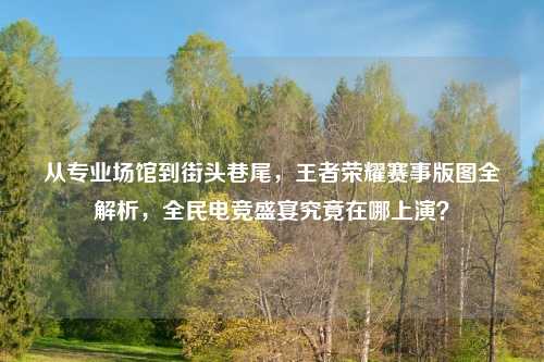 从专业场馆到街头巷尾,王者荣耀赛事版图全解析,全民电竞盛宴究竟在哪上演?