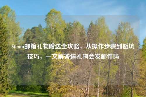 Steam邮箱礼物赠送全攻略，从操作步骤到避坑技巧，一文解答送礼物会发邮件吗