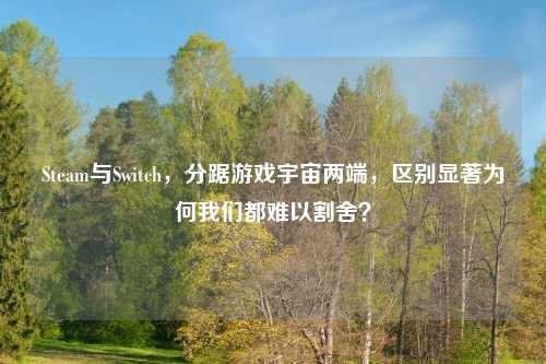 Steam与Switch，分踞游戏宇宙两端，区别显著为何我们都难以割舍？