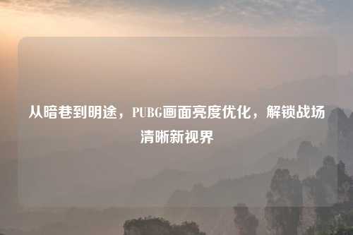 从暗巷到明途,PUBG画面亮度优化,解锁战场清晰新视界