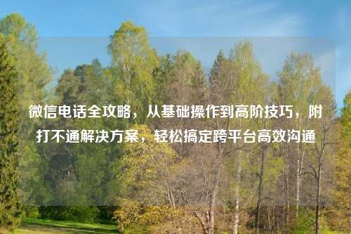 微信     全攻略，从基础操作到高阶技巧，附打不通解决方案，轻松搞定跨平台高效沟通