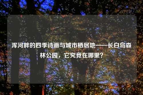 浑河畔的四季诗画与城市栖居地——长白岛森林公园，它究竟在哪里？