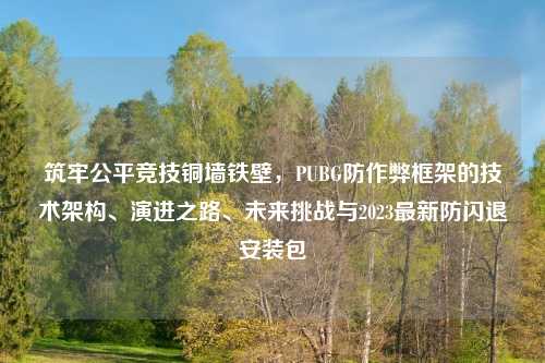筑牢公平竞技铜墙铁壁,PUBG防作弊框架的技术架构、演进之路、未来挑战与2023最新防闪退安装包