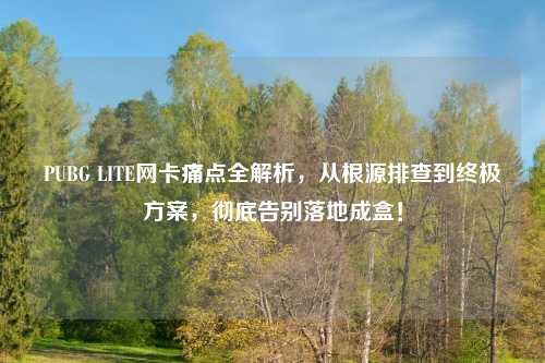 PUBG LITE网卡痛点全解析，从根源排查到终极方案，彻底告别落地成盒！