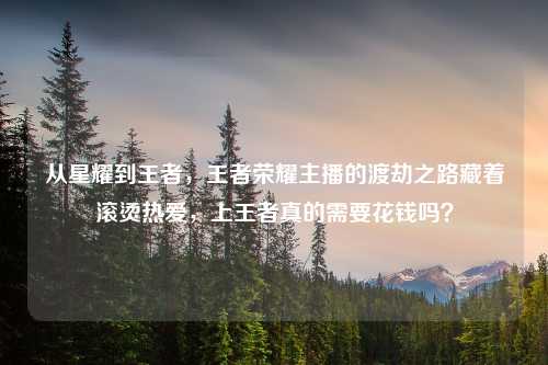 从星耀到王者，王者荣耀主播的渡劫之路藏着滚烫热爱，上王者真的需要花钱吗？