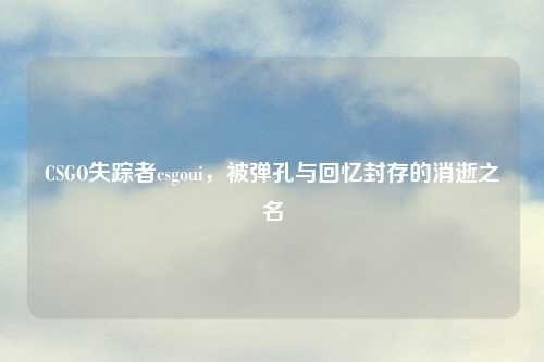 CSGO失踪者csgoui，被弹孔与回忆封存的消逝之名