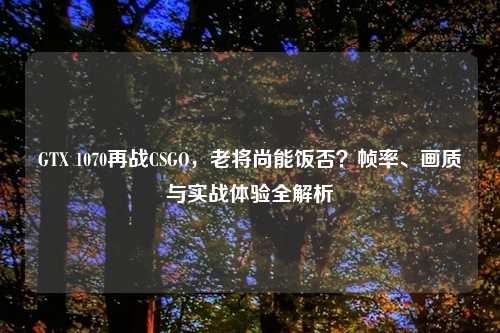 GTX 1070再战CSGO,老将尚能饭否?帧率、画质与实战体验全解析