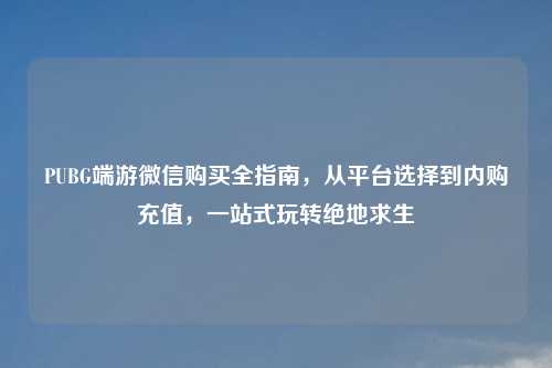 PUBG端游微信购买全指南，从平台选择到内购充值，一站式玩转绝地求生