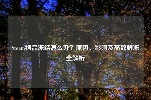 Steam物品冻结怎么办？原因、影响及高效解冻全解析