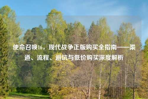 使命召唤16，现代战争正版购买全指南——渠道、流程、避坑与低价购买深度解析