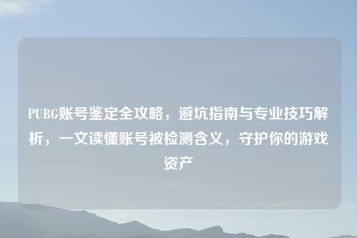 PUBG账号鉴定全攻略，避坑指南与专业技巧解析，一文读懂账号被检测含义，守护你的游戏资产