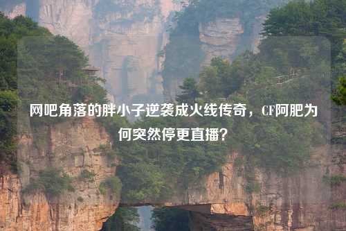 网吧角落的胖小子逆袭成火线传奇，CF阿肥为何突然停更直播？