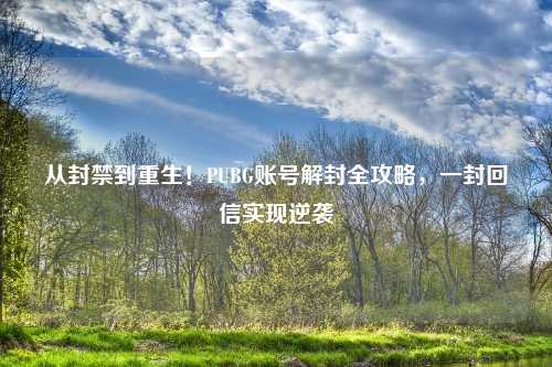 从封禁到重生！PUBG账号解封全攻略，一封回信实现逆袭
