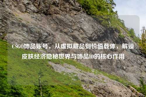 CSGO饰品账号，从虚拟藏品到价值载体，解锁皮肤经济隐秘世界与饰品ID的核心作用