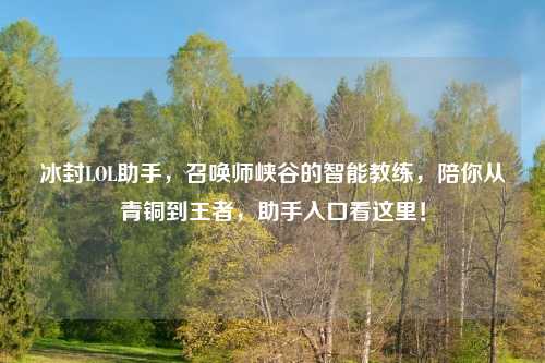 冰封LOL助手，召唤师峡谷的智能教练，陪你从青铜到王者，助手入口看这里！
