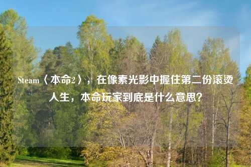 Steam〈本命2〉，在像素光影中握住第二份滚烫人生，本命玩家到底是什么意思？