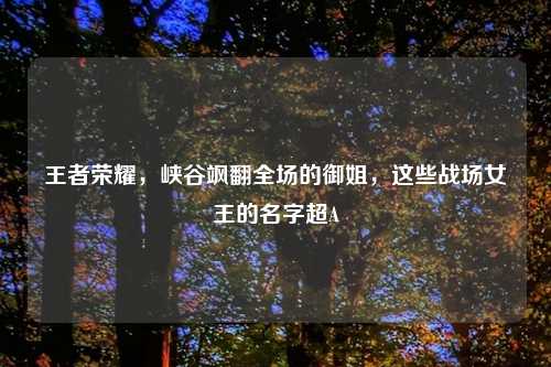 王者荣耀，峡谷飒翻全场的御姐，这些战场女王的名字超A