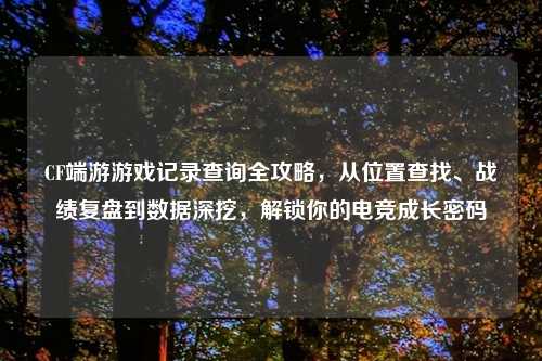 CF端游游戏记录查询全攻略，从位置查找、战绩复盘到数据深挖，解锁你的电竞成长密码