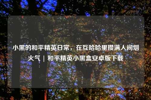 小黑的和平精英日常，在互哈哈里攒满人间烟火气 | 和平精英小黑盒安卓版下载