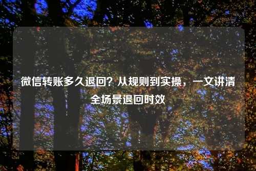 微信转账多久退回？从规则到实操，一文讲清全场景退回时效
